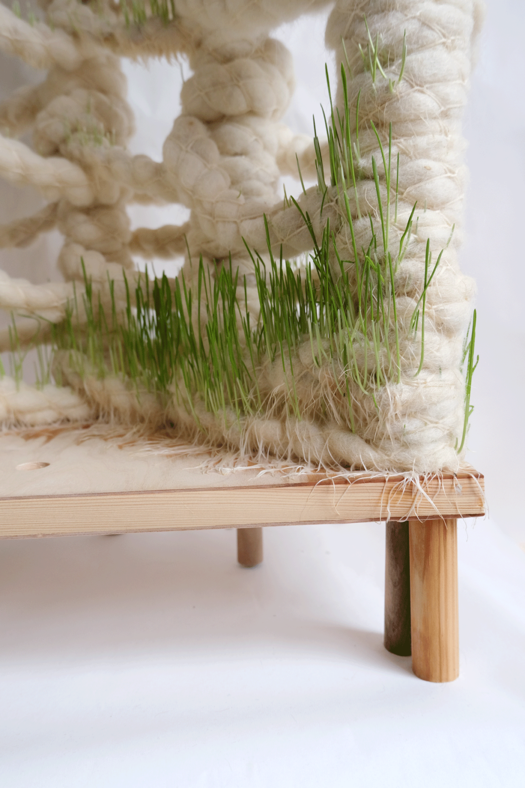 Jasmin-Sermonet-super-greens-root-growth-for-architecture-textiles