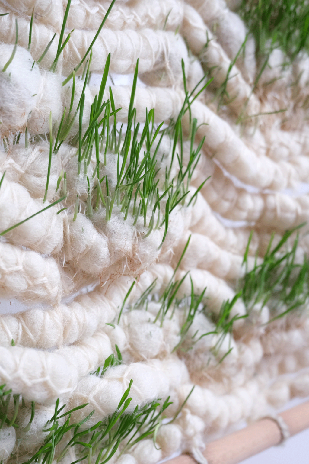 Jasmin-Sermonet-super-greens-root-growth-for-architecture-textiles2