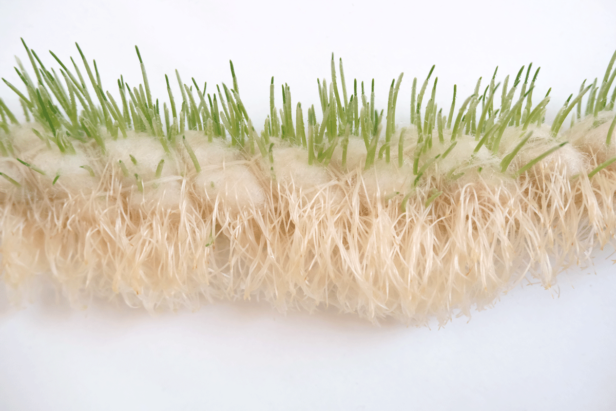 Jasmin-Sermonet-super-greens-root-growth-for-architecture-textiles3