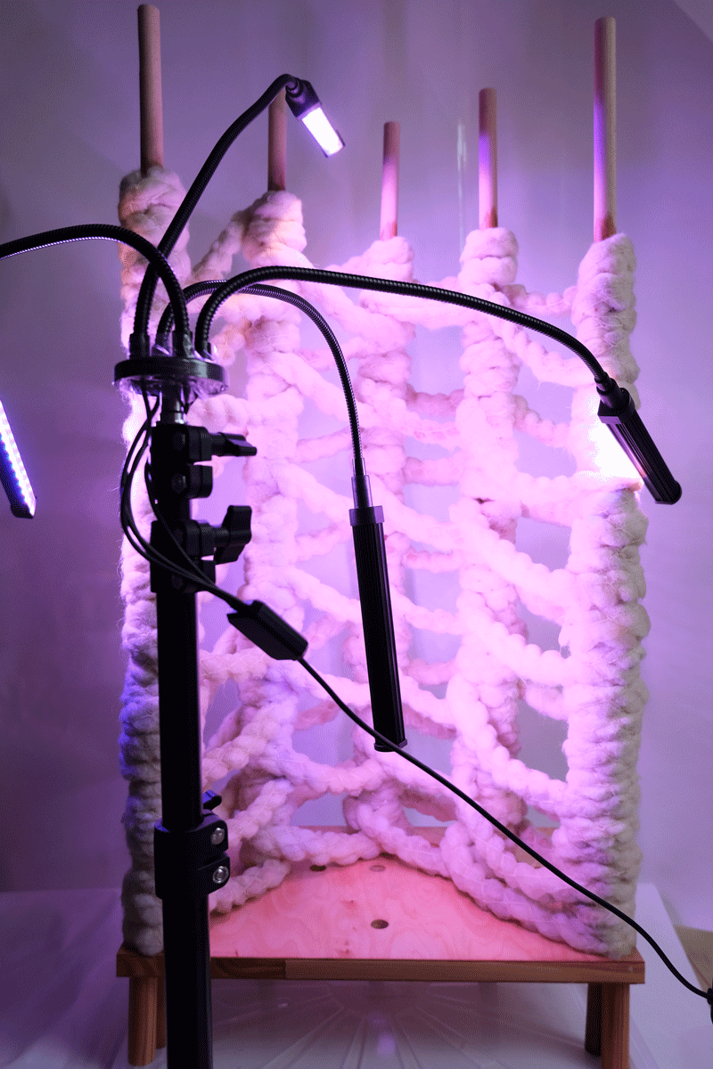 Jasmin-Sermonet-super-greens-root-growth-for-architecture-textiles5