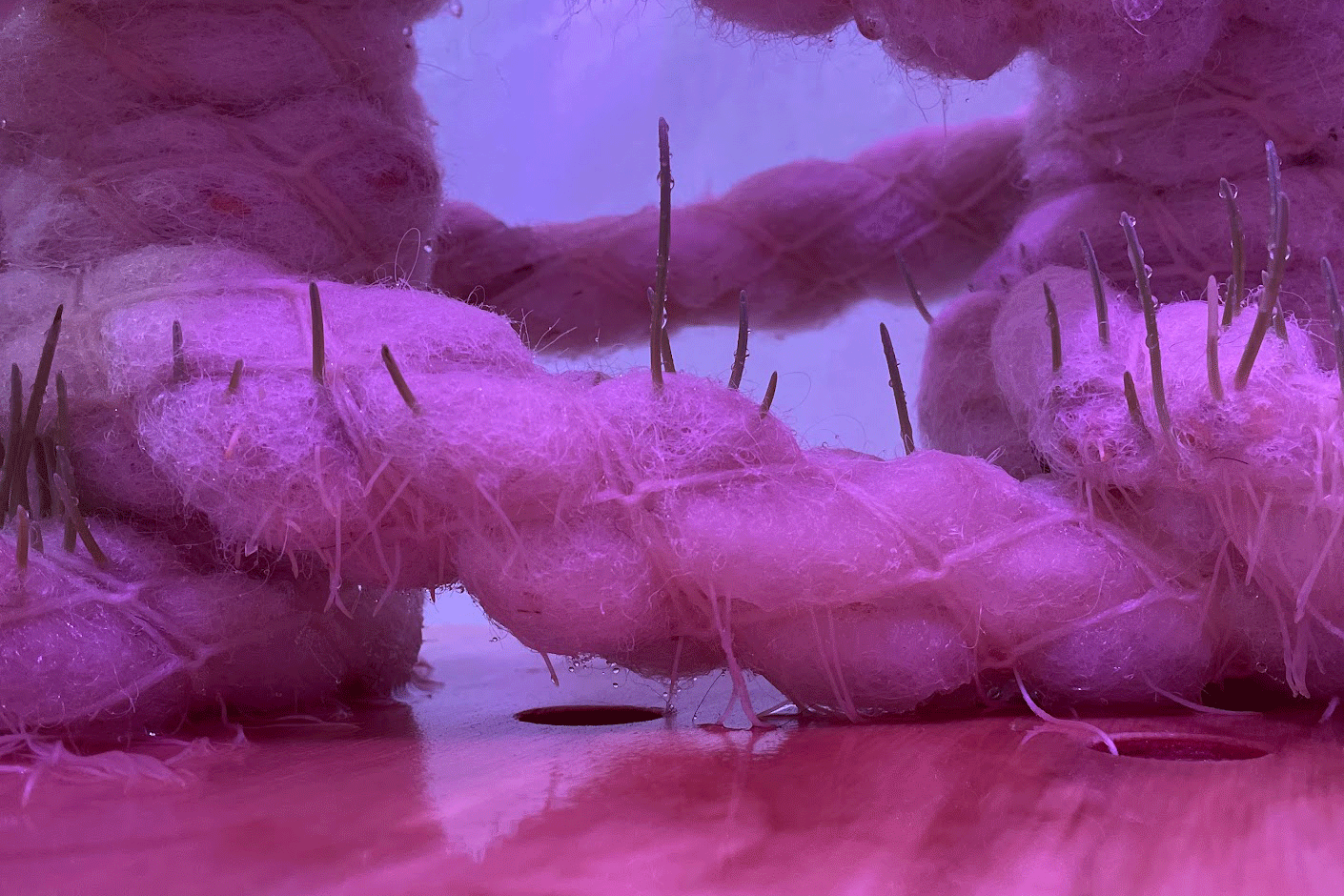 Jasmin-Sermonet-super-greens-root-growth-for-architecture-textiles6