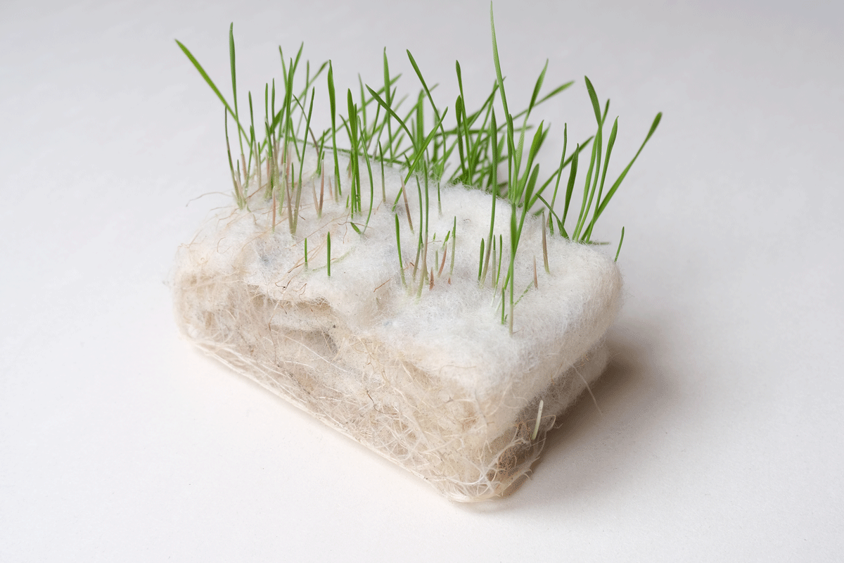 Jasmin-Sermonet-super-greens-root-growth-for-architecture-textiles7