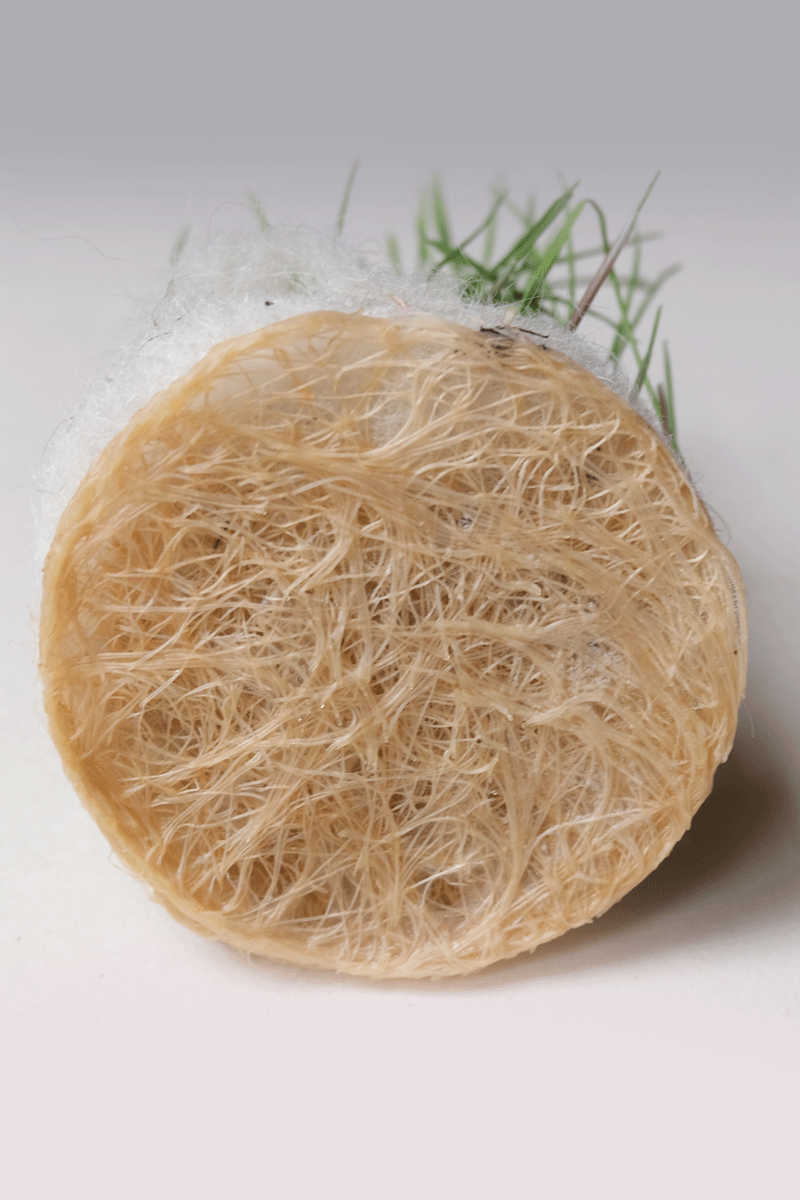 Jasmin-Sermonet-super-greens-root-growth-for-architecture-textiles9